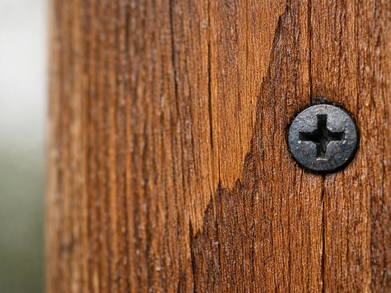 Close-up of a black screw set in weathered brown wood with blurred background